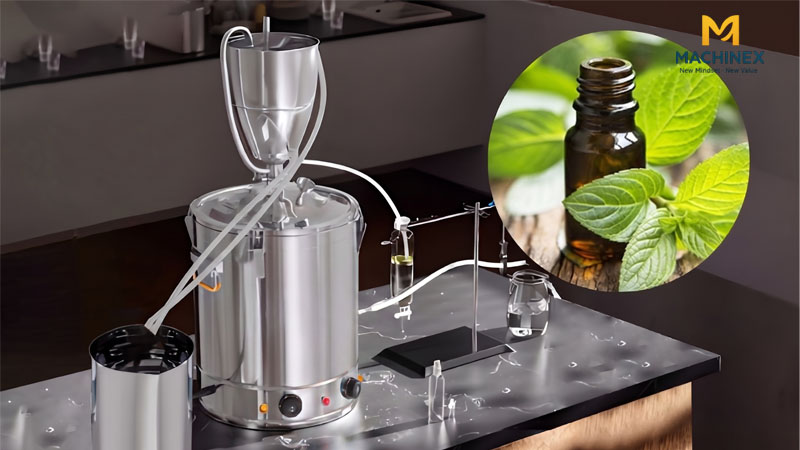 Hướng dẫn chưng cất tinh dầu bạc hà
