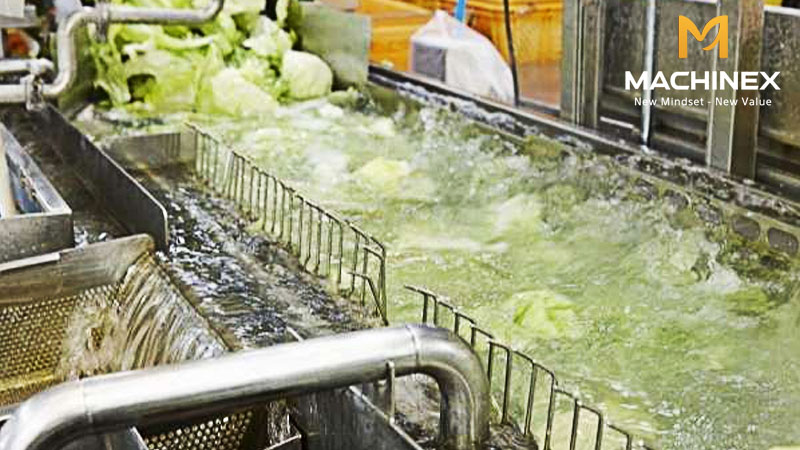 Loại bỏ dư lượng thuốc bằng máy rửa nông sản