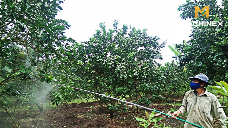 Loại bỏ dư lượng thuốc bằng máy rửa nông sản