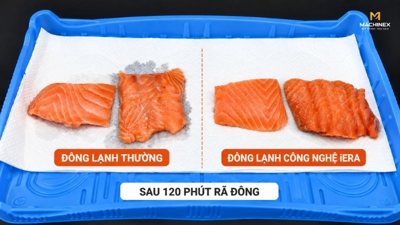 Công nghệ đông lạnh iqf