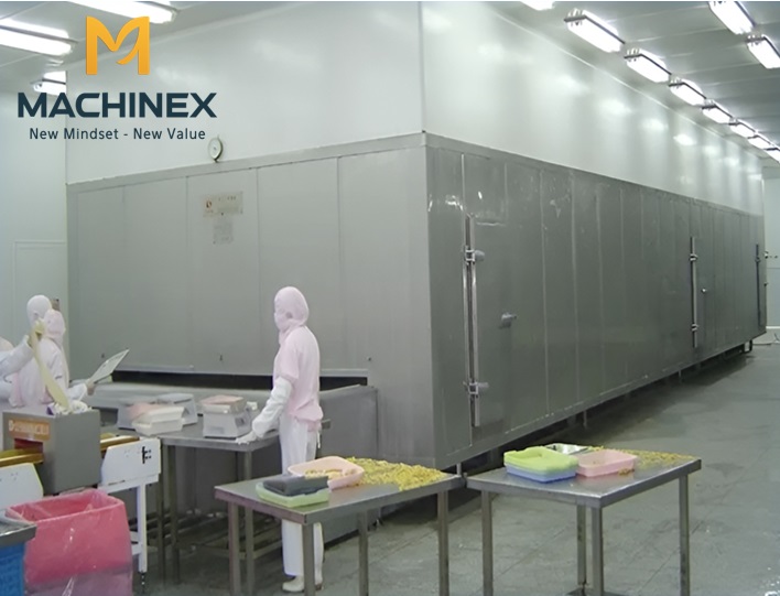 Máy cấp đông trái cây IQF