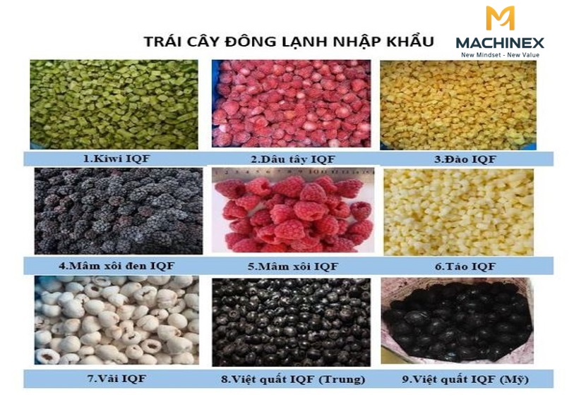 Thiết bị IQF trong chế biến trái cây