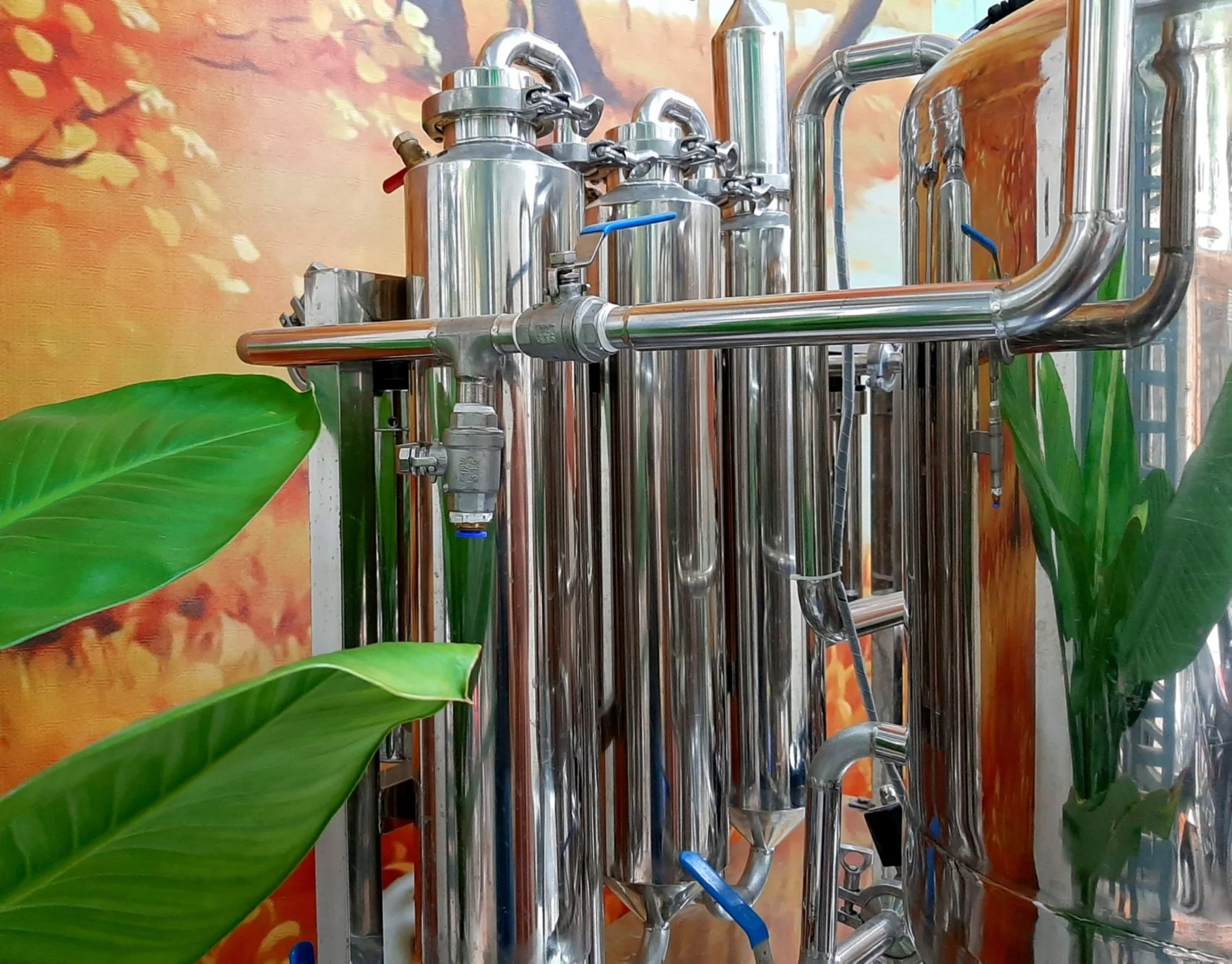 Máy lọc độc tố, làm già rượu