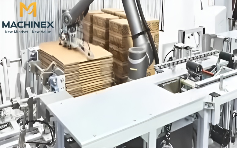 Hệ thống lắp ráp thùng carton tự động