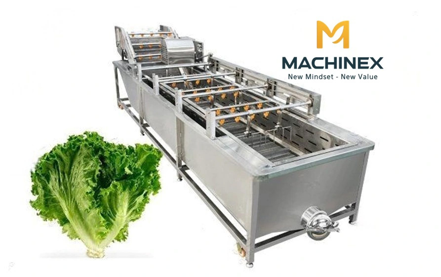 máy rửa nông sản machinex