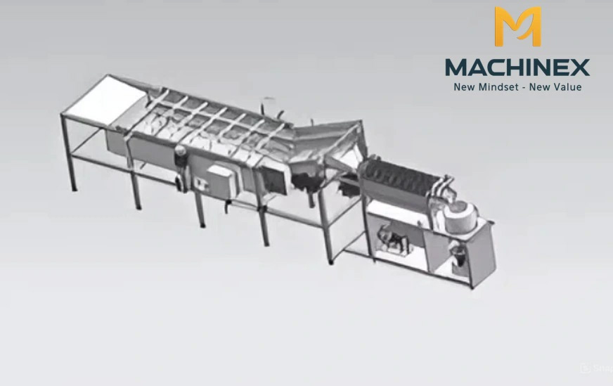 máy rửa nông sản tự động