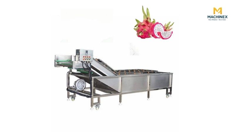 Máy rửa thanh long công nghiệp