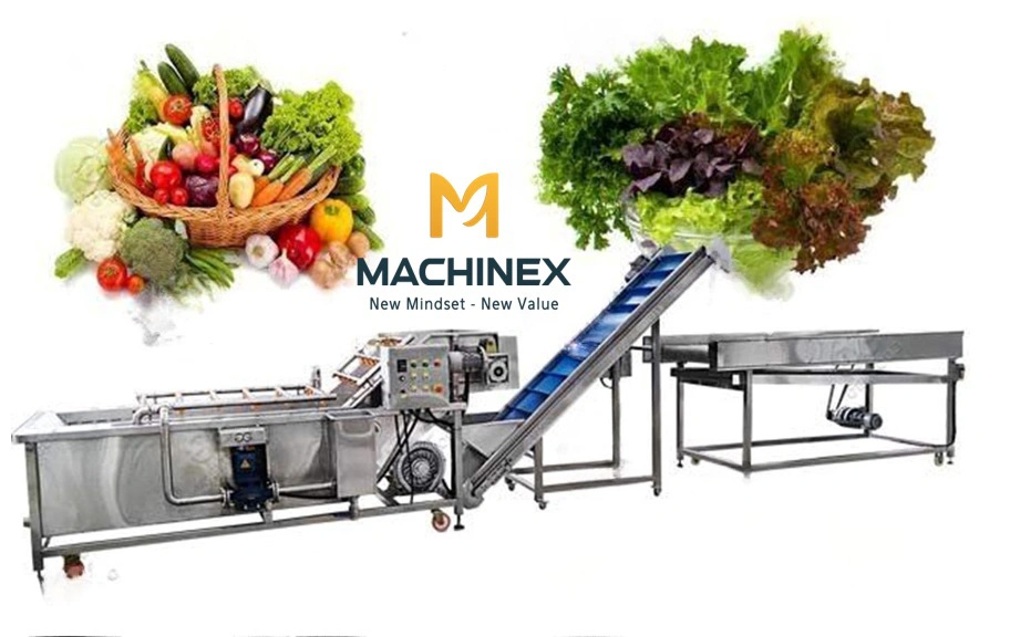 Máy rửa trái cây công nghiệp machinex