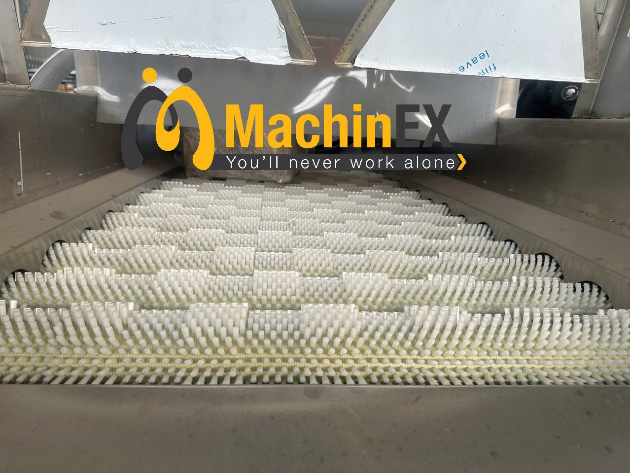 máy rửa vỏ trái cây công nghiệp