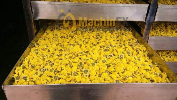 Máy sấy lạnh thực phẩm