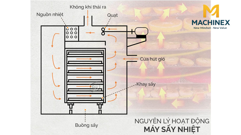 Máy sấy nhiệt nóng cho dược liệu và thảo mộc