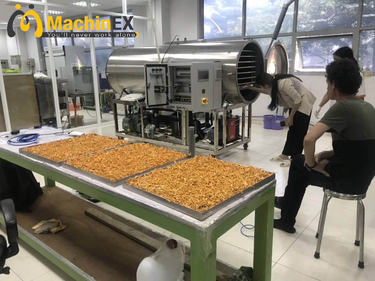 máy sấy thăng hoa 50kg