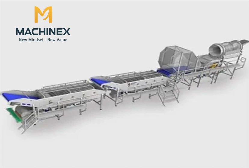 bể sục rửa nông sản