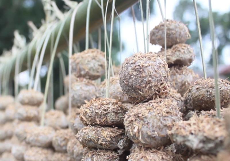 men rượu mẫu sơn
