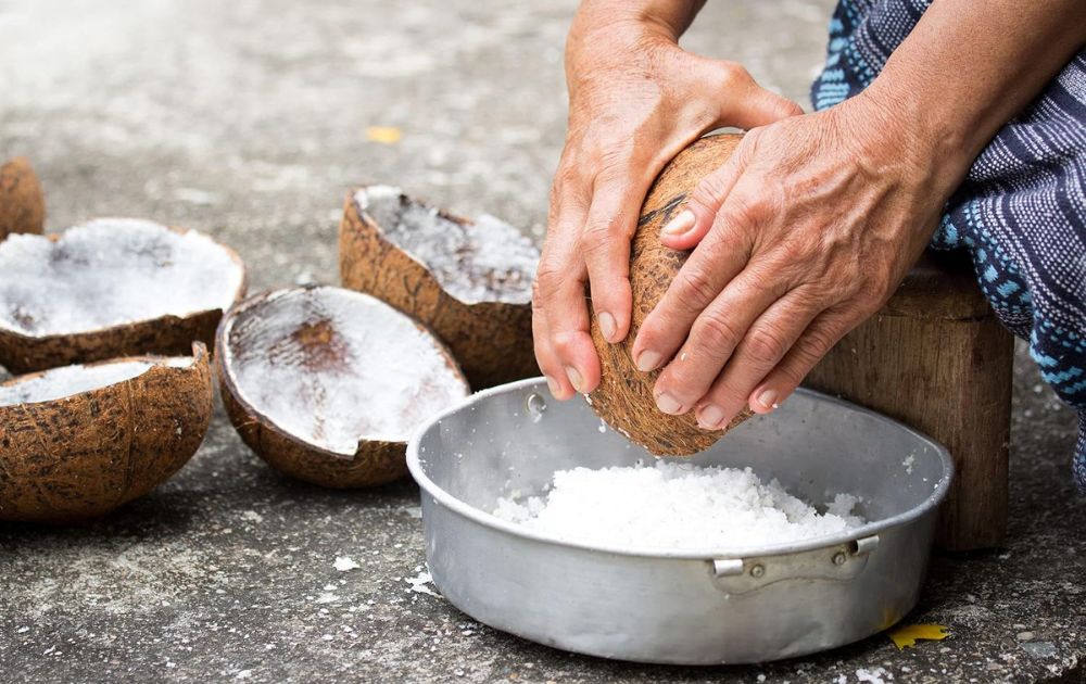 nạo cơm dừa thủ công bằng tay