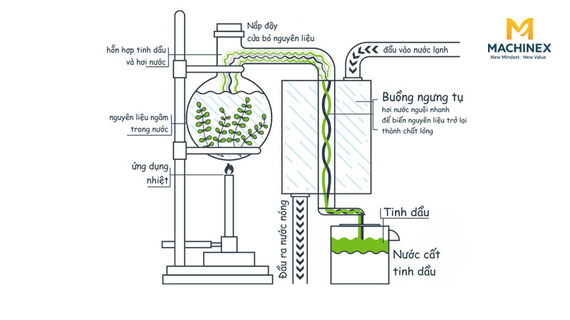 Quy trình chưng cất tinh dầu sả
