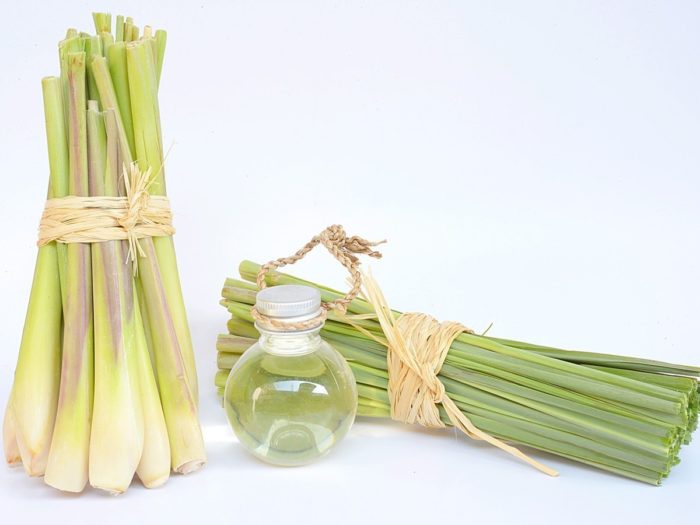 Nguyên liệu sả được làm sạch