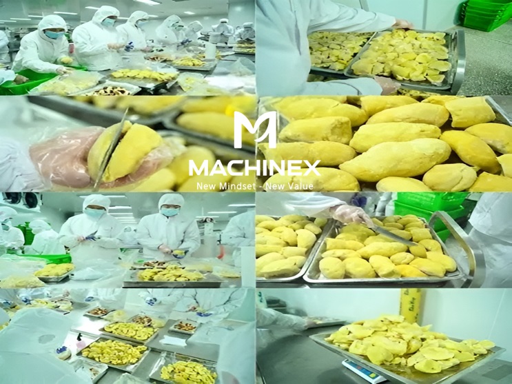 Quy trình sản xuất sầu riêng sấy