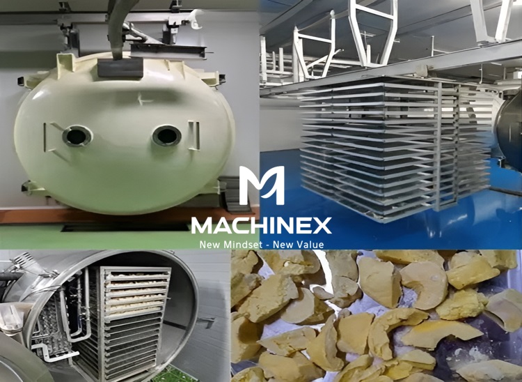 Sầu riêng đưa vào máy sấy