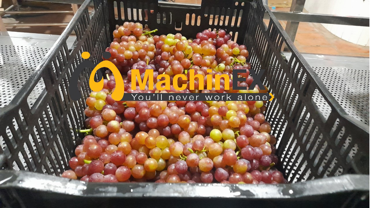 Nho rửa bằng máy
