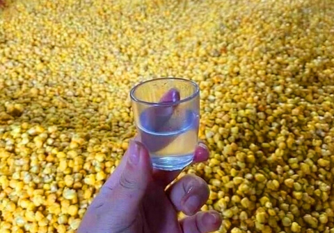 rượu ngô bắc hà