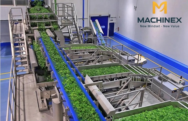 sản xuất nước trà thảo mộc