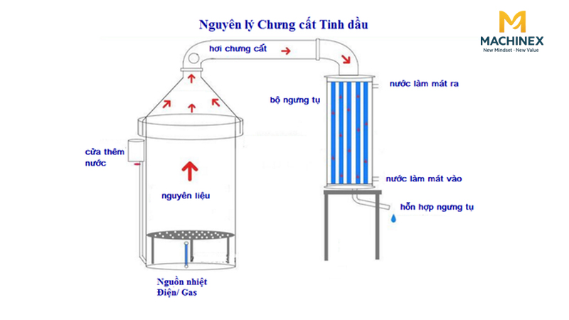 So sáng chưng cất gừng: Thủ công và máy chưng cất Machinex