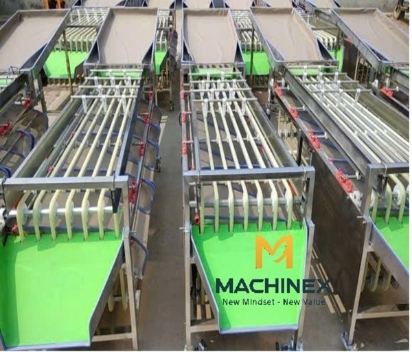 thiết bị phân loại trái cây