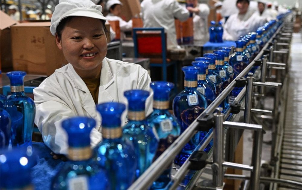 máy cho xưởng sản xuất rượu
