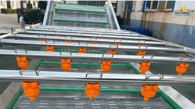 Thông số máy rửa nông sản