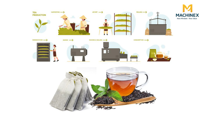 Tiêu chuẩn GMP cho sản xuất trà túi lọc thảo dược