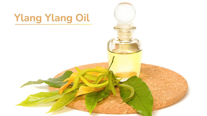 tinh dầu ngọc lan tây