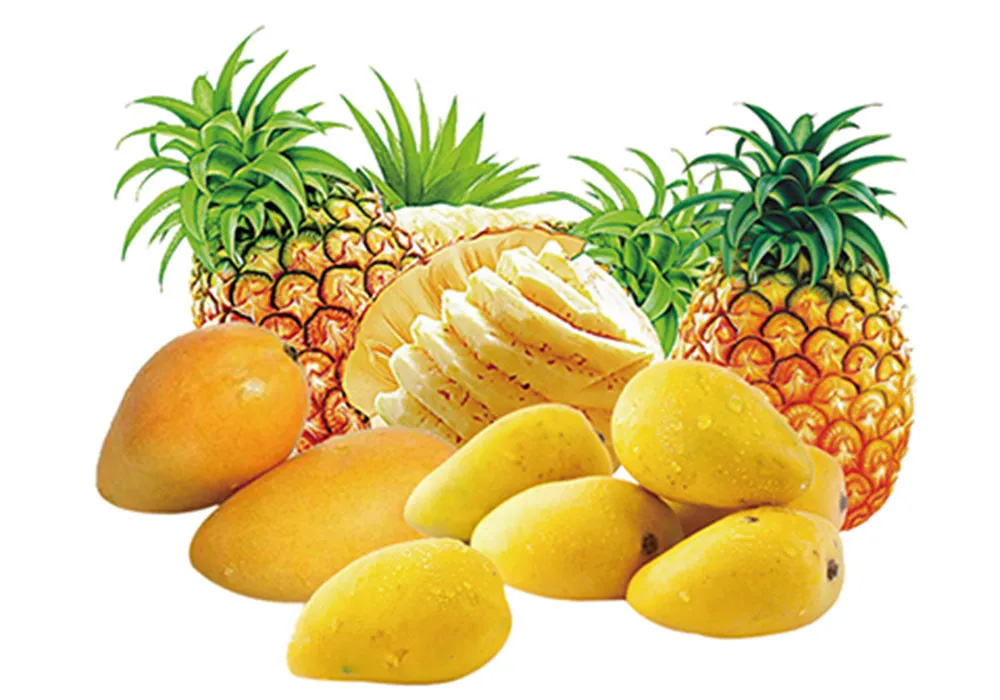 day-chuyen-sản-xuat-trai-cay