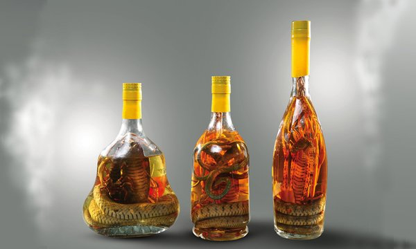 cách ngâm rượu thuốc chuẩn