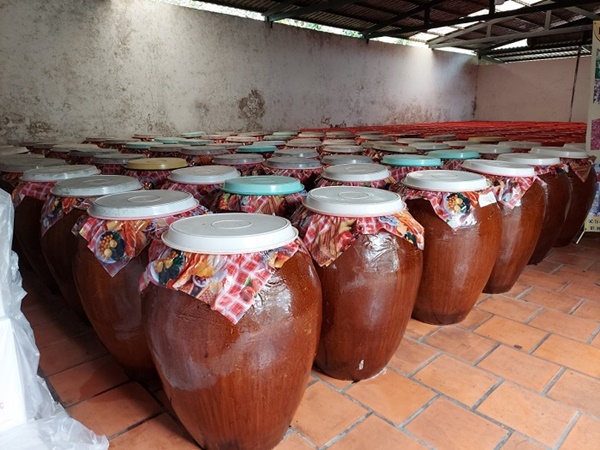 ủ rượu gạo đúng cách
