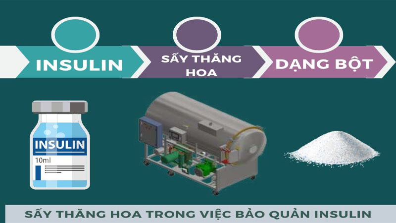 Ứng dụng của máy sấy thăng hoa trong ngành dược phẩm