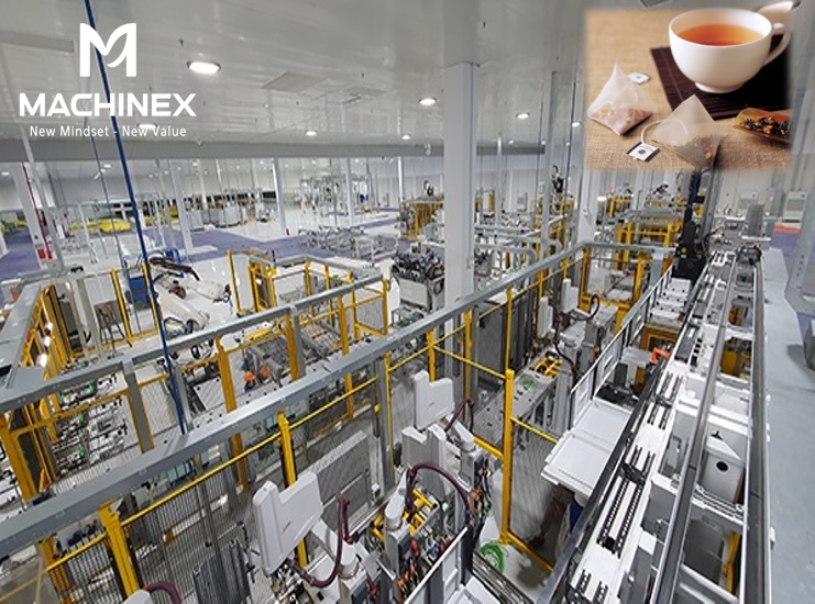 Xu hướng thị trường trà thảo mộc túi lọc