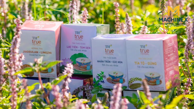 Xu hướng thị trường trà thảo mộc túi lọc