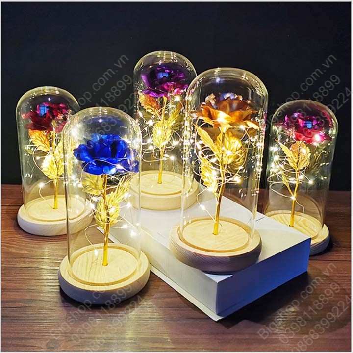 Hoa hồng trong vòm kính có đèn LED, Quà tặng lưu niệm, Quà tặng Valentine