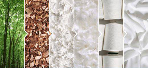 Ưu điểm vượt trội của vải MODAL