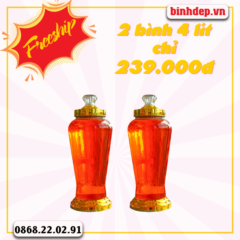 Combo 2 bình thủy tinh 4 lít không vòi giá rẻ ngâm rượu sâm (4l)