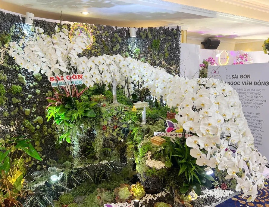Triển lãm hoa lan nghệ thuật TP.HCM. - Baolaodong Triển lãm hoa lan nghệ thuật TP.HCM. - Baolaodong
