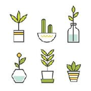 Đa dạng màu sắc - mẫu mã - chủng loại