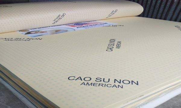 Top 9+ nệm cao su non tốt nhất trên thị trường hiện nay