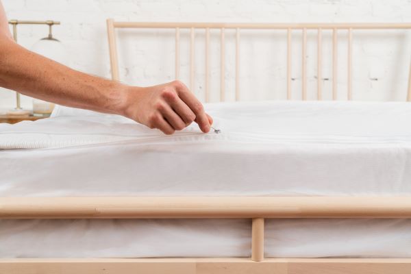Tìm hiểu các nguyên nhân gây ra nệm cao su non có mùi hôi​