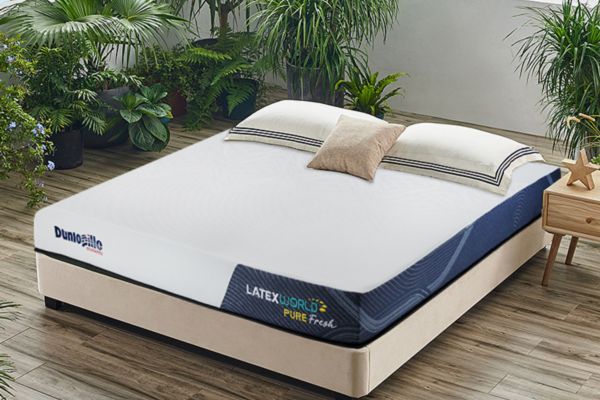 Dunlopillo - Thương hiệu nệm Anh Quốc nổi bật với công nghệ châu Âu