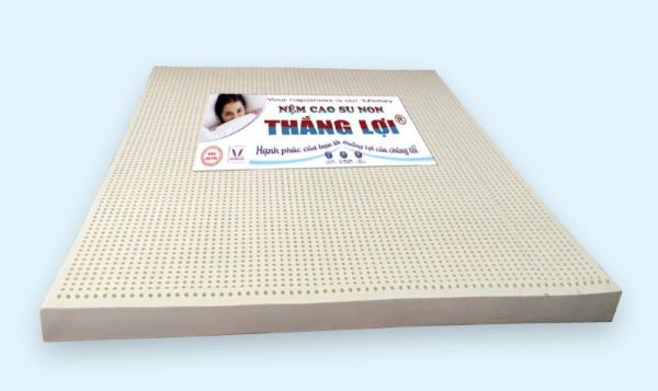 Loại nệm cao su non Thắng Lợi thông thường