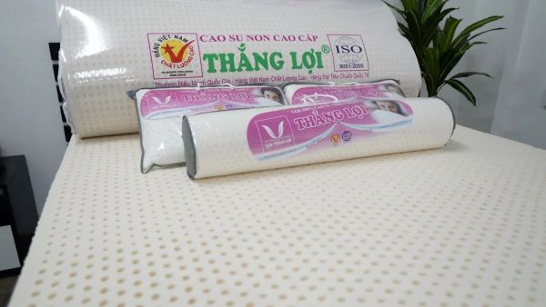 Nệm cao su non cao cấp Thắng Lợi