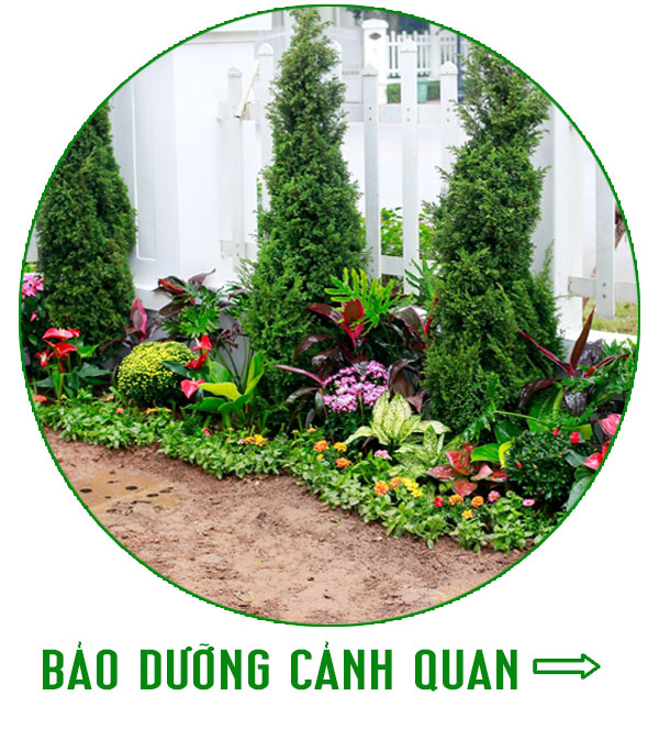 https://vuonbachthao.vn/bao-duong-canh-quan