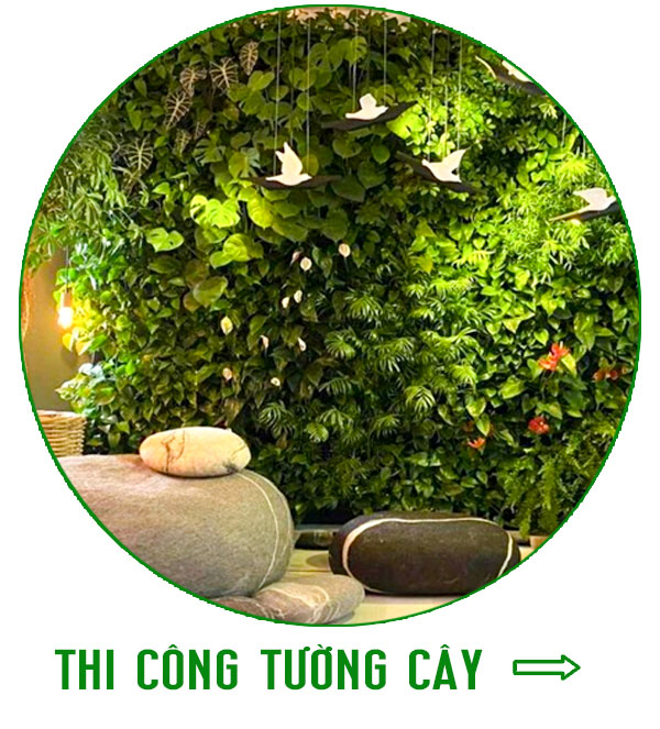 https://vuonbachthao.vn/thiet-ke-thi-cong-tuong-cay